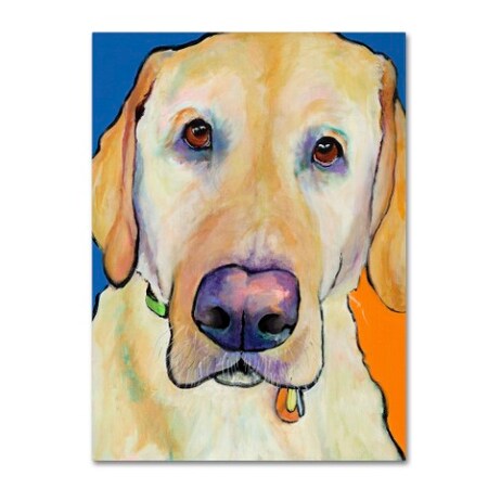 Trademark Fine Art Pat Saunders-White 'Spenser' Canvas Art, 18x24 PS190-C1824GG